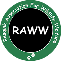 RAWW | Rescue, Conserve, Coexist